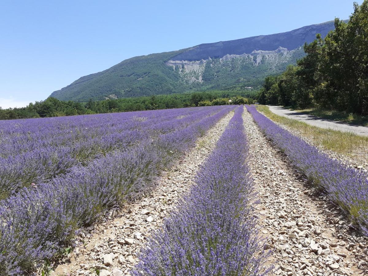 Rose Des Alpes Bed and Breakfast Serres  Exteriör bild